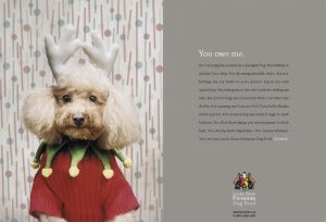 You Owe Me Advertisement version 3