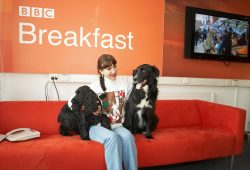 Me trying to keep the stars cool, calm and collected while they wait for their moment of stardom on the BBC World Service Cooking for Dogs
