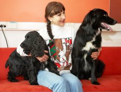 Barney and Woody feigning cool indifference at their upcoming starring roles on the BBC World Service Cooking For Dogs