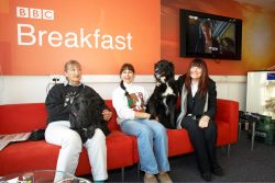 Fay, Cathy, me, Barney and Woody chilling out while we wait for our appearance on live TV for the BBC World Service Cooking for Dogs segment