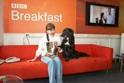 With Woody gone awol Barney and I commune trying to remain calm before our appearance on the BBC World Service in the Cooking for Dogs segment