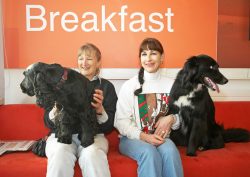 Woody safely retrieved as we hang out waiting for our BBC World Service live moment on their Cooking for Dogs segment