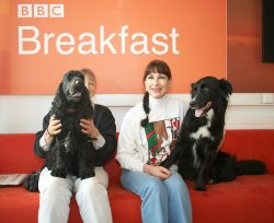 More of a grimace than a smile from Woody as we hang out in the orange room waiting for the Cooking for Dogs live segment on the BBC World Service