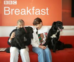 Well, at least we're having a larf as we wait for the BBC World Service live Cooking For Dogs segment