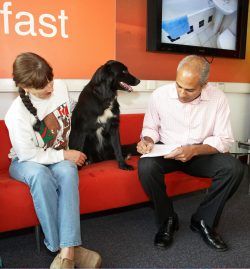 My brush with fame as George Alagiah goes through the type of questions he will ask me when we do the live Cooking for Dogs segment for the BBC World Service. It was minimalist!