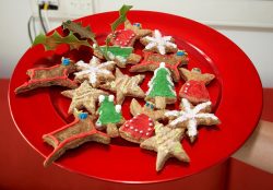 The Christmas cookies we made for our doggie guests and decorated for the BBC World Service Cooking for Dogs live segment. While these are made for our doggie guests they can be eaten by humans - 'cept perhaps the reindeer ones. They're liver!!