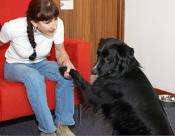 How do dogs know how to do that!! Barney and me chilling out as we wait to do our Cooking For Dogs live segment for the BBC World Service