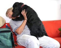 Woody in playful mood before his big moment in front of the BBC World Service Cooking for Dogs live segment