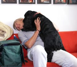 Woody getting his own way as he waits for his big moment in front of the cameras for the BBC World Service Cooking for Dogs live segment