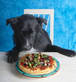 I don't know where to start