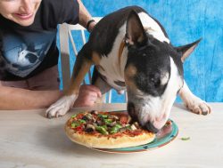 Move over Barney, I know how to get stuck in