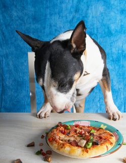 This is a bigger job than I thought