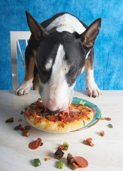 I'm not stopping now