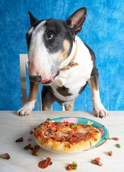 I know, I've made a mess - I'll hoover up later