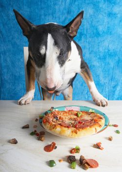 Gotta take a breather