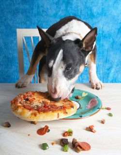 No messin' around now........