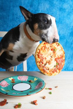 ..... I'm going for the whole thing