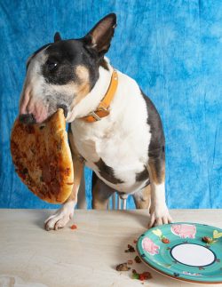 Hmmm, I think I've bitten off more than I can chew!!