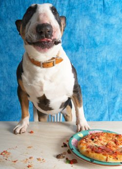 I am having SUCH a good time