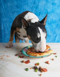 Now for the final push