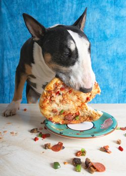 Yeah, I've got the hang of it now