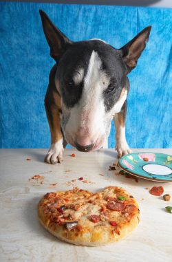 Now how do I get it?