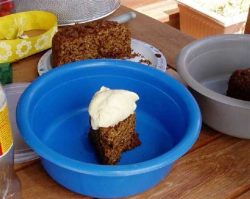 The cake is not one of ours (alas), but the Haddock Ice Cream is from Lucies Farm