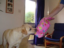 Ready to unwrap her present.