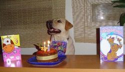 Martha waiting for permission to start the party.