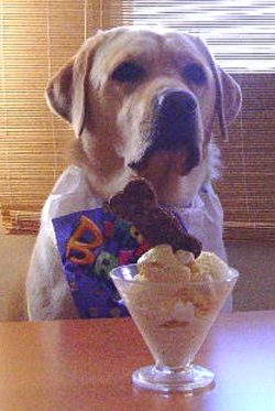 Martha waiting to devour her Haddock Ice Cream at her birthday party.
