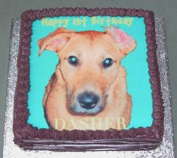 Dasher had such blue/green eyes, we thought it would look good to use the same background colour on his birthday cake.