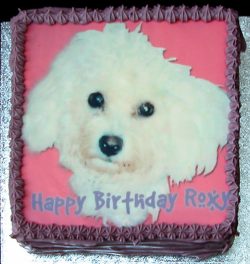 Roxy's Birthday Cake - December 8 2004