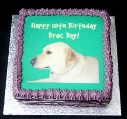 Brac's Cake