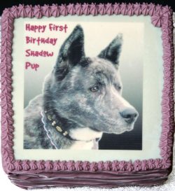 We were asked to provide a "masculine" background on this photograph.