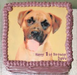 Dave's cake before it was packed and shipped, via DHL, from Lucies Farm.