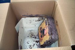 Here's the "after" picture of Dave the Dog's birthday cake, courtesy of DHL. We attached the cake to the cake board, attached the cake board to the cake box, attached the cake box to the inner box (shown). The inner box was then packed in an outer box, and the space between the two filled with crumpled newspaper. But DHL clearly gave the box a good toss around the depot, despite the "fragile - dog cake" labels on the outside.