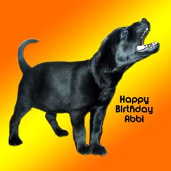 We didn't have a chance to take a picture of the cake itself --- the Parcelforce man came too quickly --- but I thought the photograph and design were really bold and attractive.