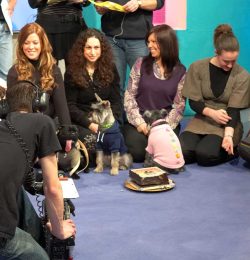 A "pampered pooch" piece, with a doggie birthday cake from Lucies Farm.