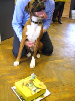Basil with his own dog-friendly cake.