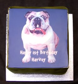 Harvey's 1st birthday cake