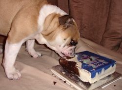 Who needs a birthday cake to be sliced?!