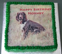 Hornby's Birthday Cake