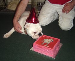 Boy, that looks good enough to eat