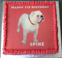 Spike's birthday cake