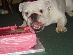 Yeah, I know, I've got my mouth full. Well, it is my birthday