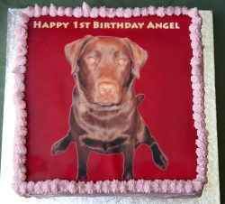 Angel's birthday cake