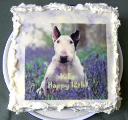 For Kiko's 12th Birthday, May 1 2007.