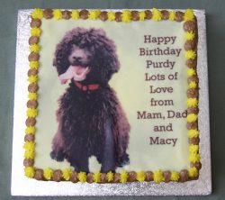 Purdy's birthday cake