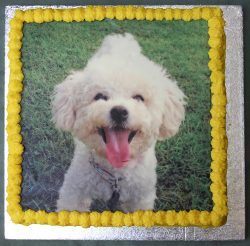 Harry's Birthday Cake