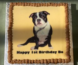 1st birthday celebration